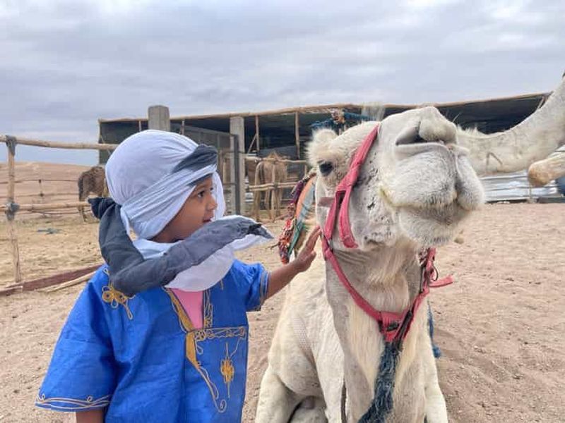 Billet Balade à dos de dromadaire dans le désert Palmeraie Marrakech