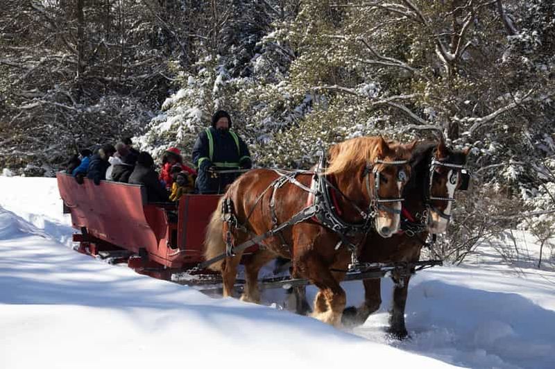 Billet Mont-Tremblant : Promenade en traîneau avec contes et chocolat chaud