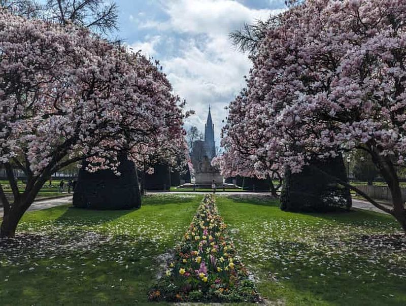Billet Strasbourg : visite guidée à pied à travers les guerres 1871-1945