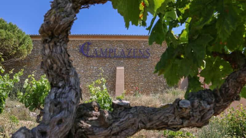 Billet Visite complète du domaine et dégustation de vins au Château Camplazens