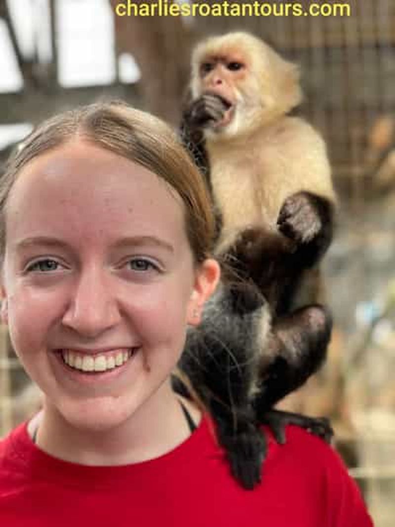 Billet Combinaison de l'excursion sur l'île des singes et des paresseux de Daniel Johnson