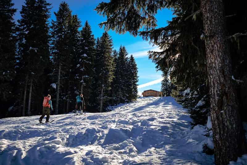 Billet Innsbruck : randonnée en raquettes sur le Birgitzköpfl