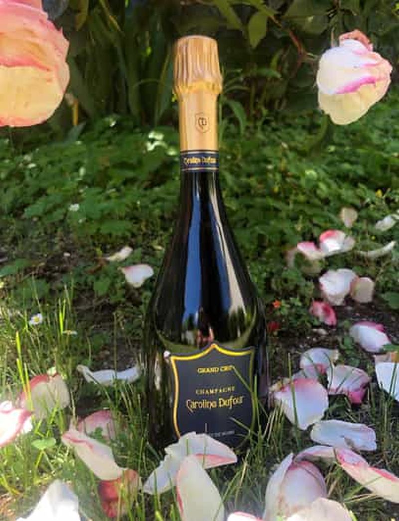 Billet Dégustation Champagne Blanc de Noirs et Fromages au coeur de Reims