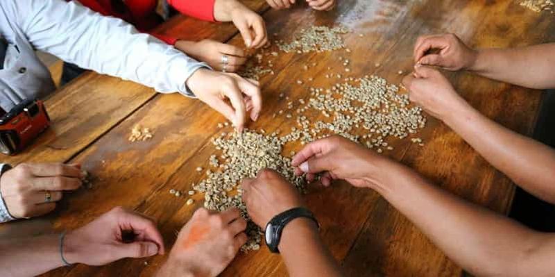 Billet Visite privée de 2 jours à Huayopata pour le café ou le cacao