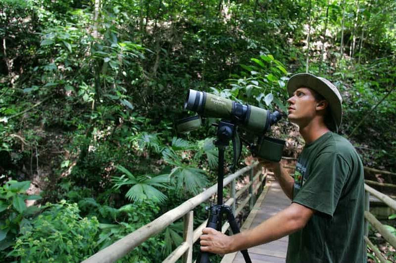 Billet Observation des oiseaux à Rainforest Adventures Braulio Carrillo