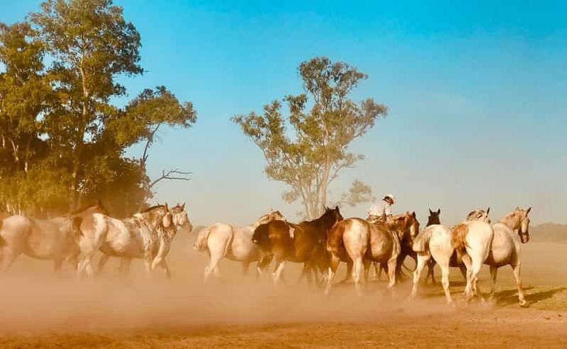Billet Buenos Aires : ranch Santa Susana et déjeuner barbecue