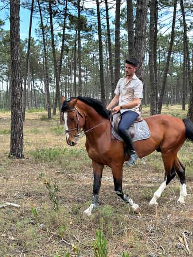 Billet Aveiro : Expérience d'équitation avec instructeur