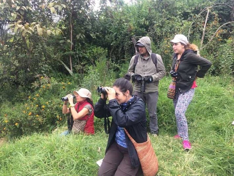 Billet Journée d'observation des oiseaux dans le parc naturel de Chicaque