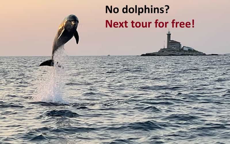 Billet Rovinj : Excursion en hors-bord au coucher du soleil pour observer les dauphins avec boissons