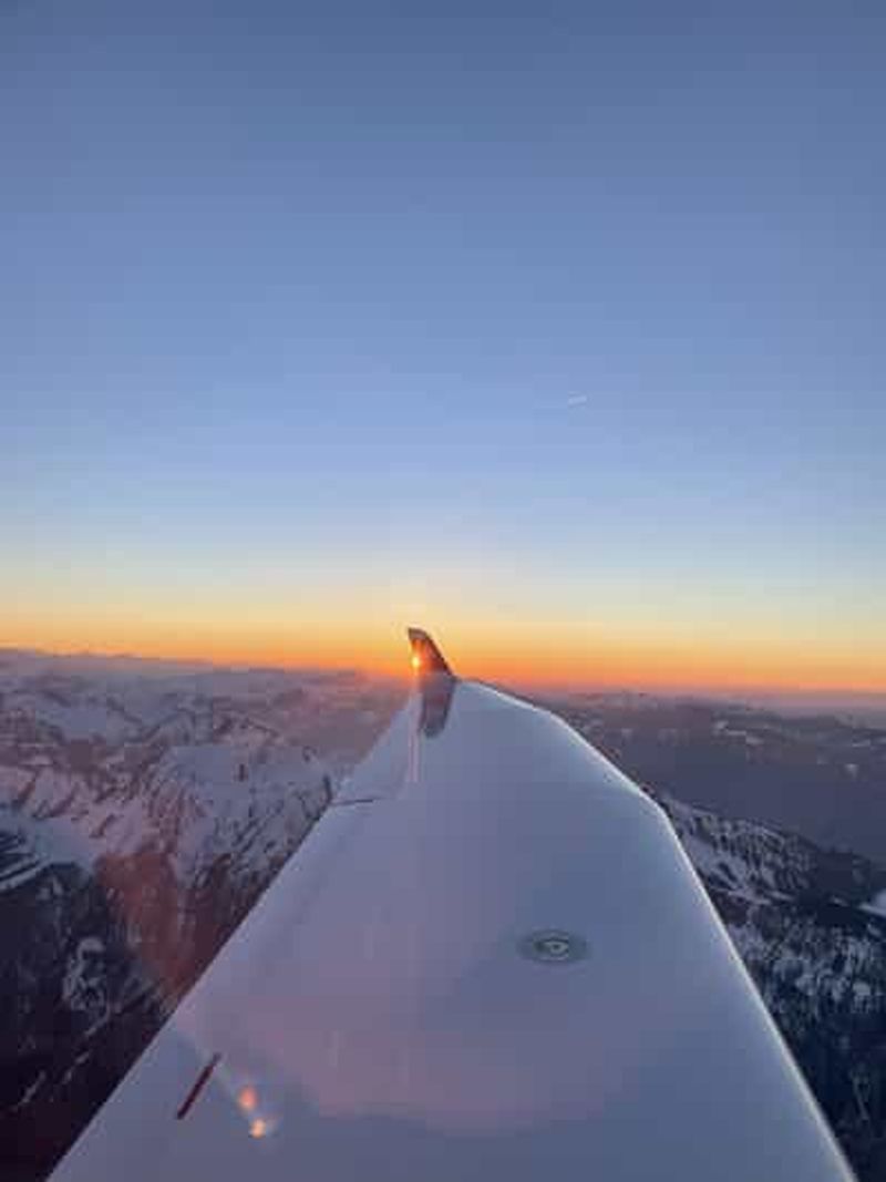 Billet Région de Zurich : visite privée en avion au-dessus des Alpes suisses
