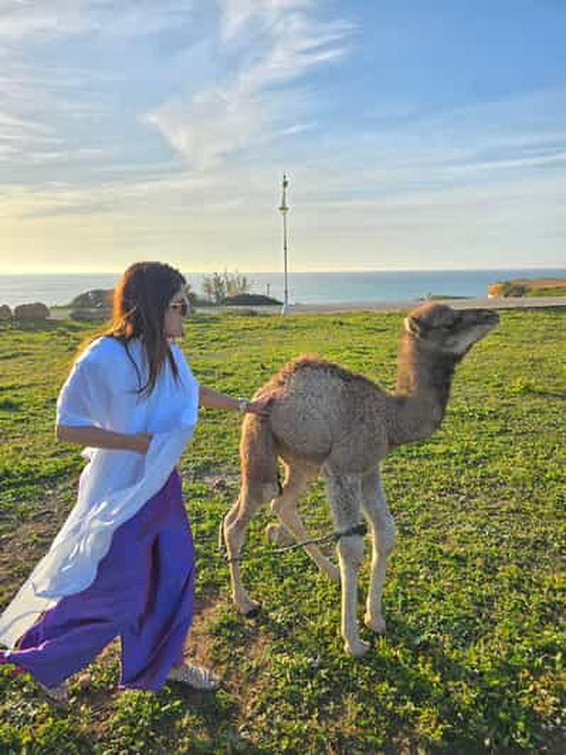 Billet Explorez Tanger : Balade à dos de chameau, grotte et Cap Spartel