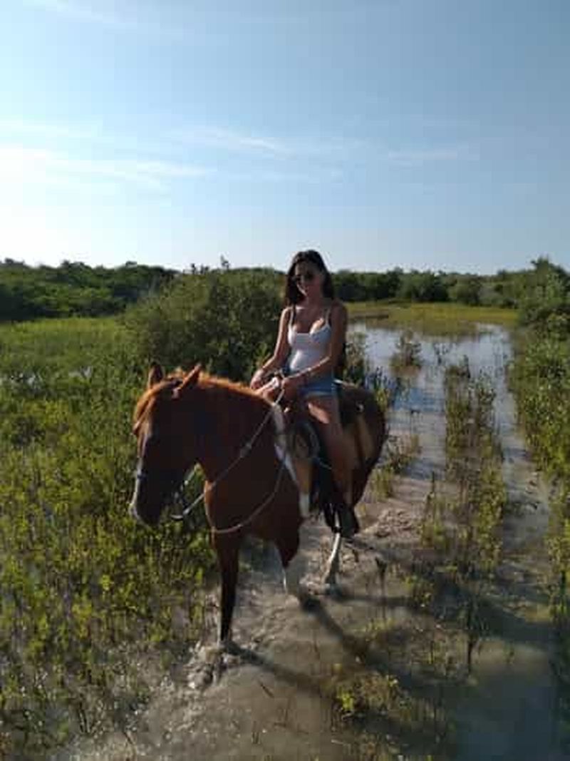 Billet Aventure à cheval à Holbox
