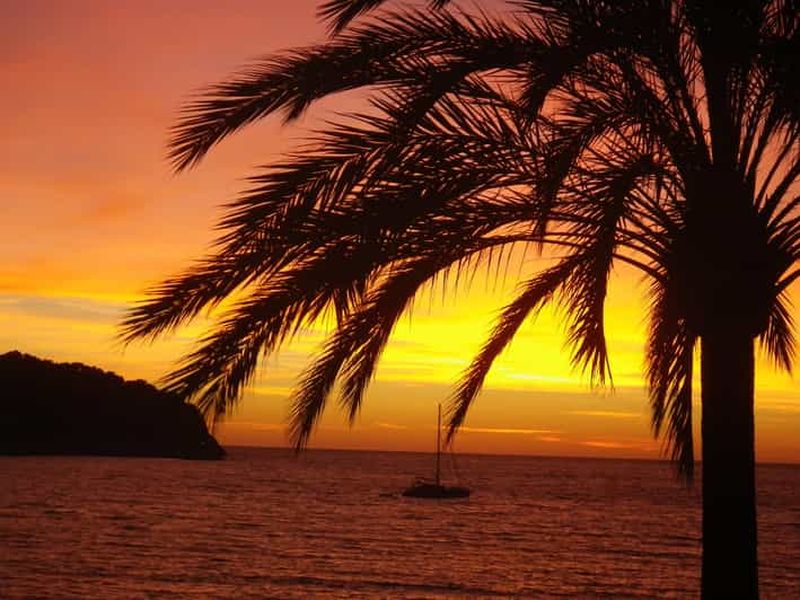 Billet Martinique : Snorkeling de nuit : Vivez la magie des récifs et des étoiles