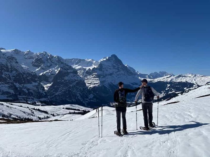 Billet Cours d'initiation à la randonnée en raquettes sur l'Axalp