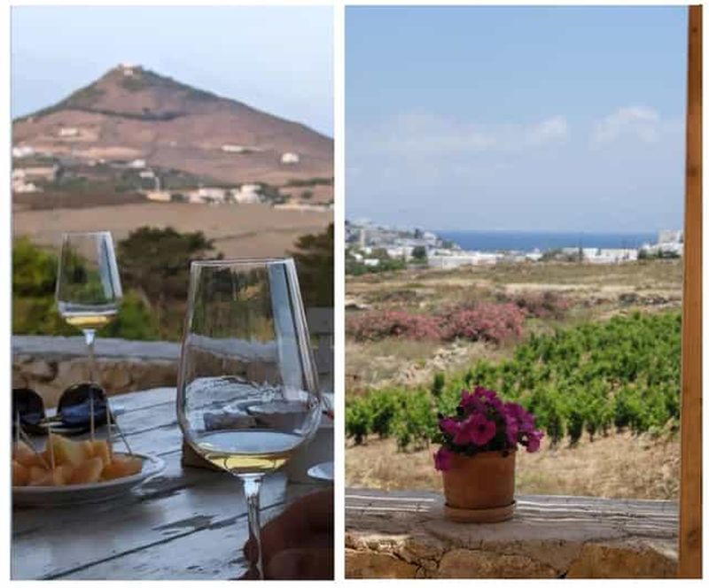 Billet Paros : dégustation de vin dans un vignoble local