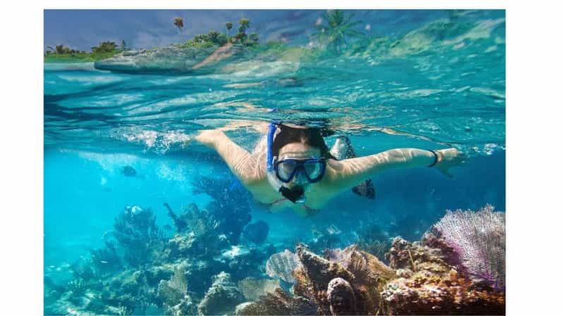 Billet Visite d'une journée à Pattaya : snorkeling à Coral Island