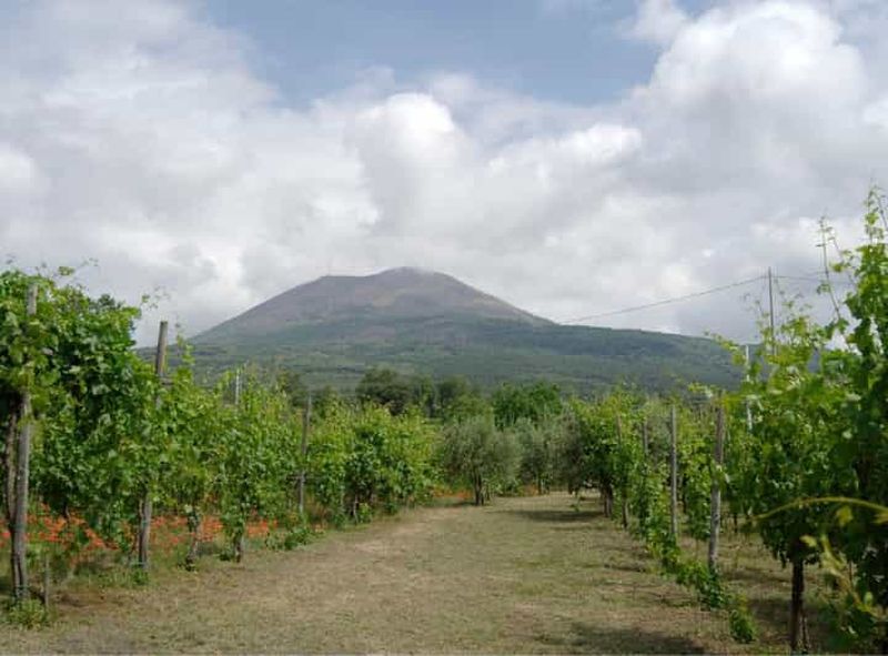 Billet Boscotrecase : visite du Vésuve et dégustation de vin