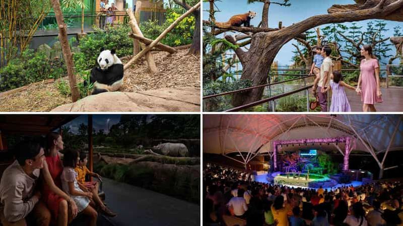 Billet River Wonders (libre et facile) avec visite guidée du Night Safari