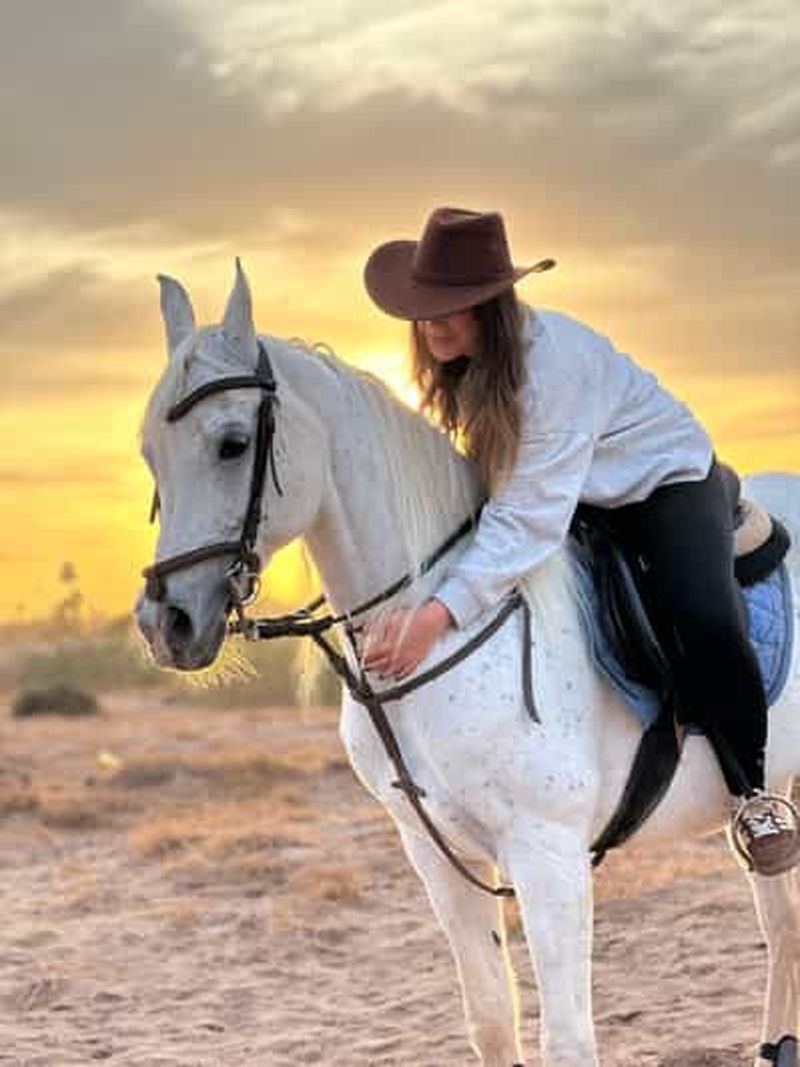 Billet Marrakech : aventure en buggy et équitation dans la palmeraie
