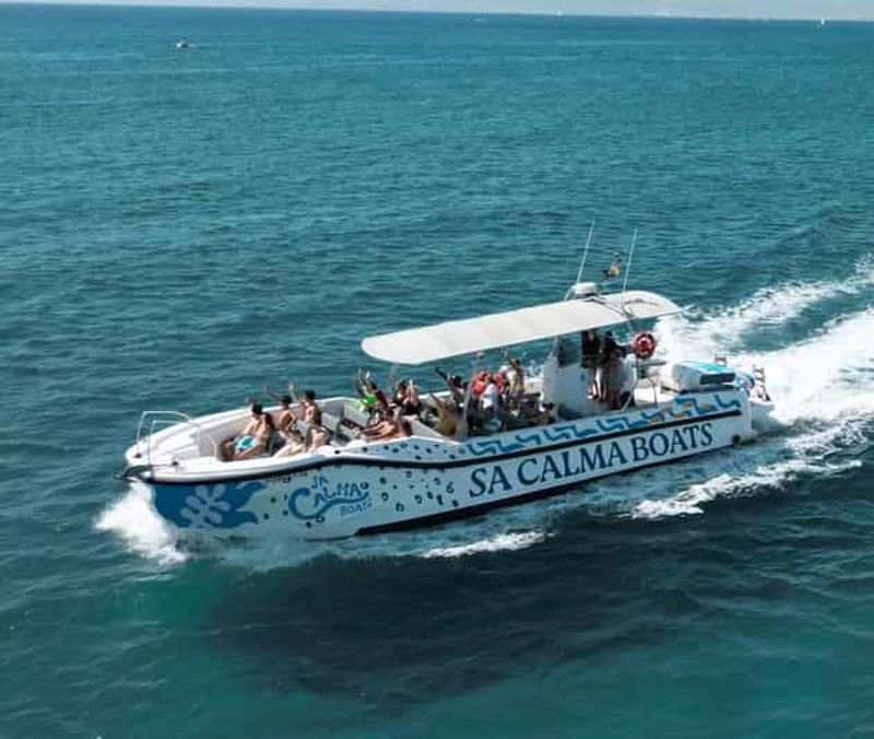 Billet Réserve marine de Majorque : Visitez les grottes, les falaises et faites de la plongée avec masque et tuba.
