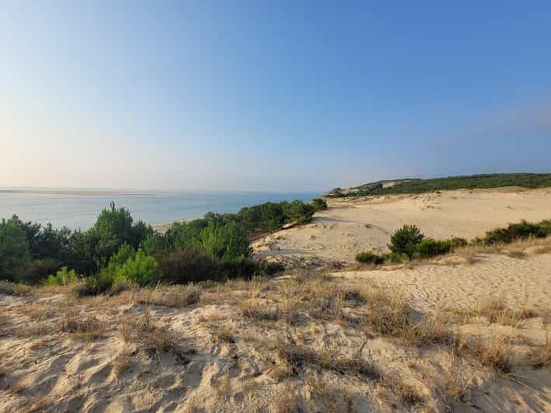 Billet From Bordeaux: Dune du Pilat, Arcachon Bay and Oyster Village Private Tour