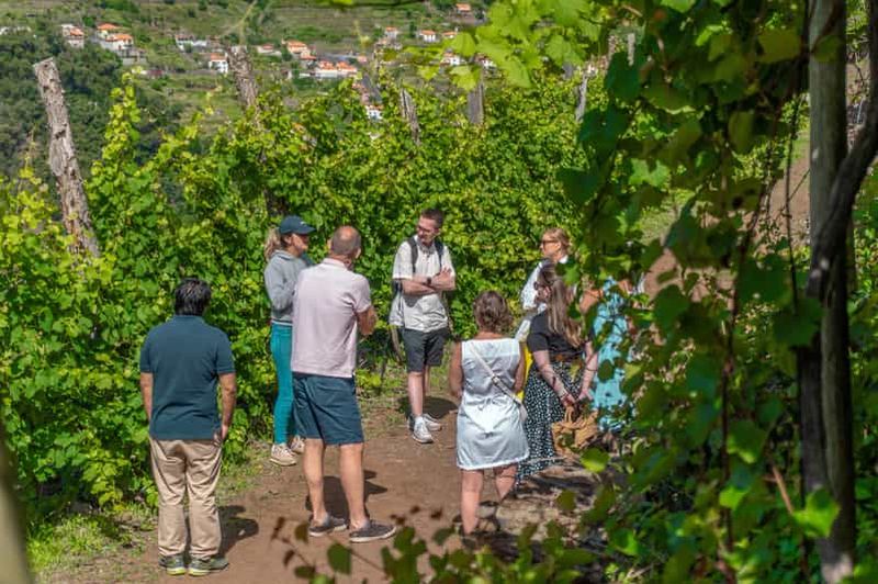 Billet Safari œnologique tout-terrain à Madère