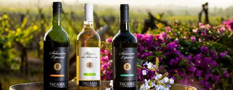 Billet Ica : visite et dégustation de vins et de pisco