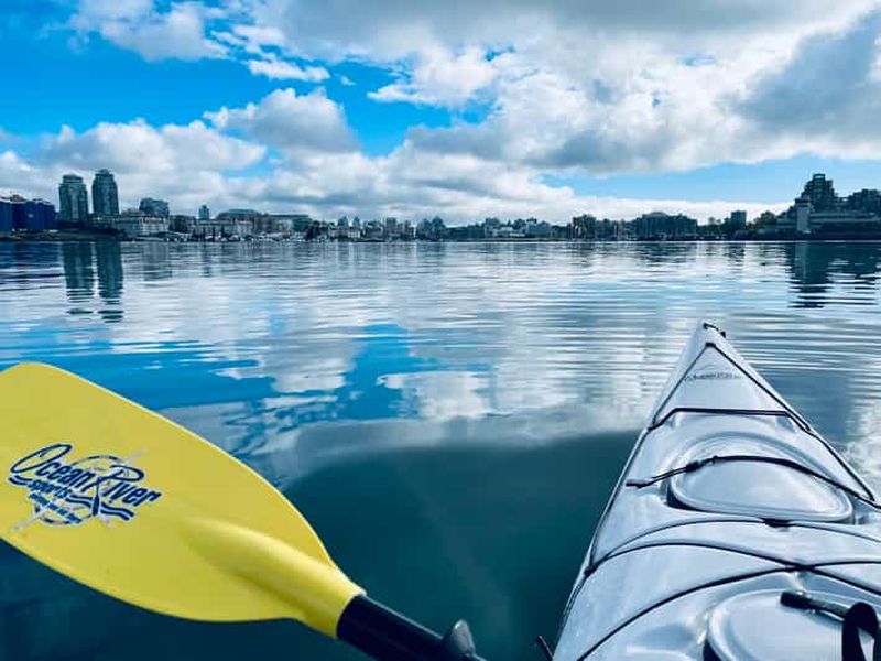 Billet Victoria : Visite du port en kayak