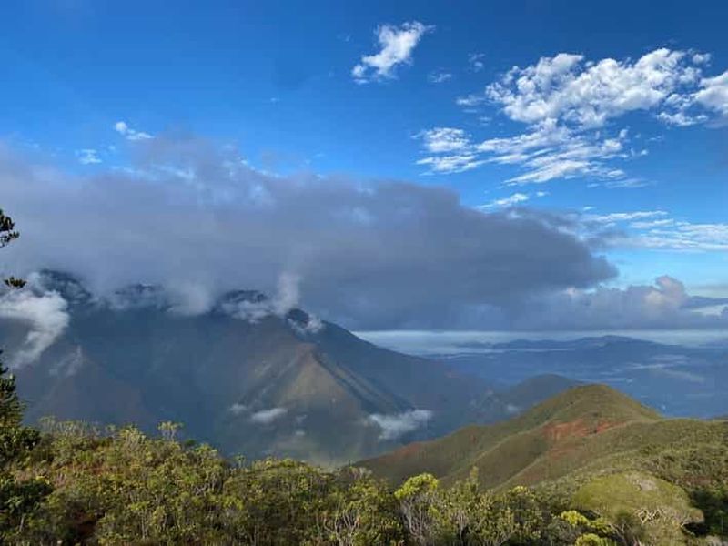Billet Nouméa : excursion au zoo-parc de la forêt tropicale avec prise en charge