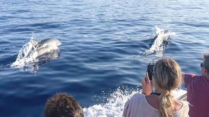 Billet Letojanni et Taormine : visite d'une journée et excursion privée avec dauphins