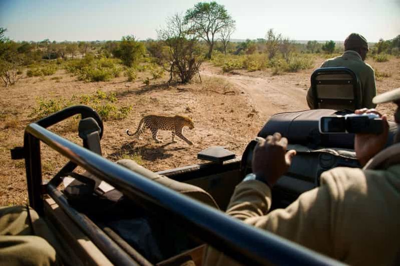 Billet Safari à Dinokeng avec transfert