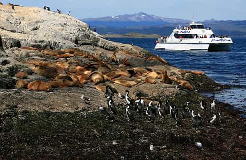 Billet Circuit en catamaran sur le canal de Beagle et les lions de mer