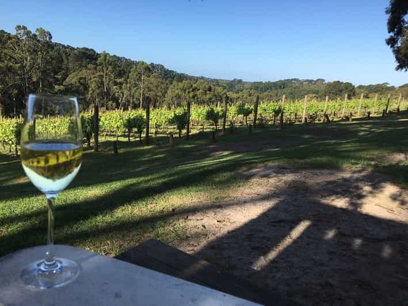 Billet Découverte des vins de la Swan Valley : Visite privée au départ de Perth