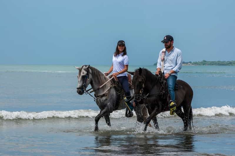 Billet Cartagena : balade à cheval sur la plage et culture équestre