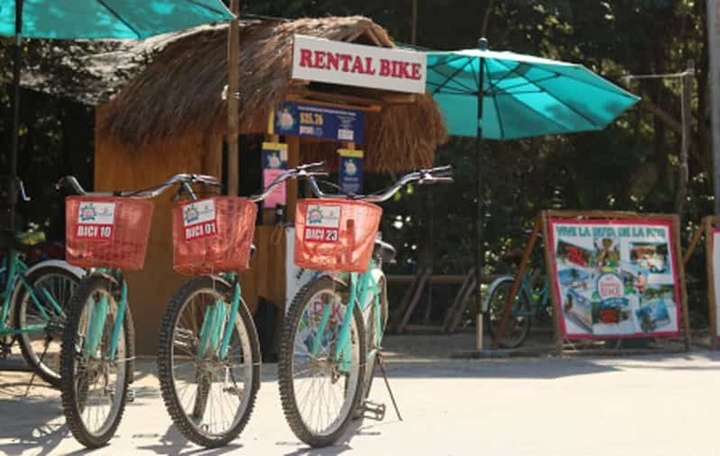 Billet Tulum : visite guidée à vélo du parc national de Tulum