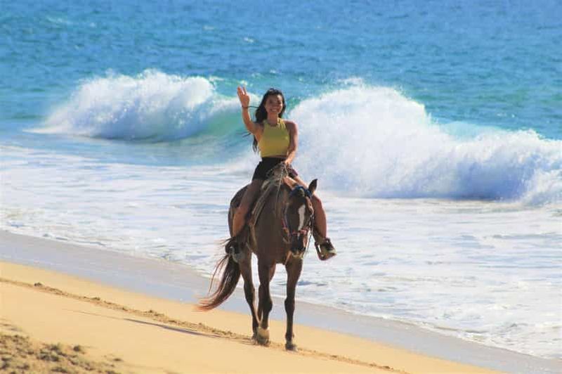 Billet Cabo San Lucas : Équitation Corredor Turistico