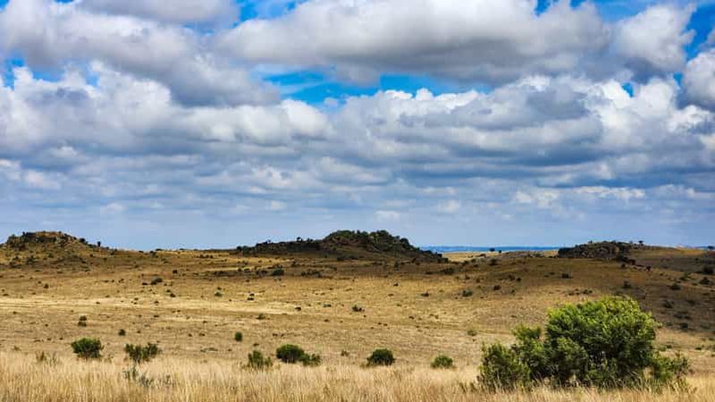 Billet Johannesburg : visite du site classé au patrimoine mondial de l'humanité « Cradle of Humankind » (berceau de l'humanité)