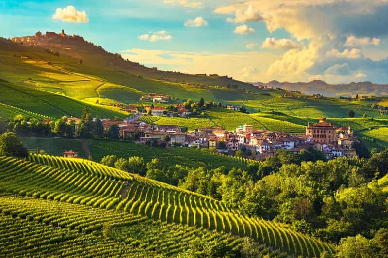 Billet Depuis Milan : dégustation de vin Barolo et visite d'Alba