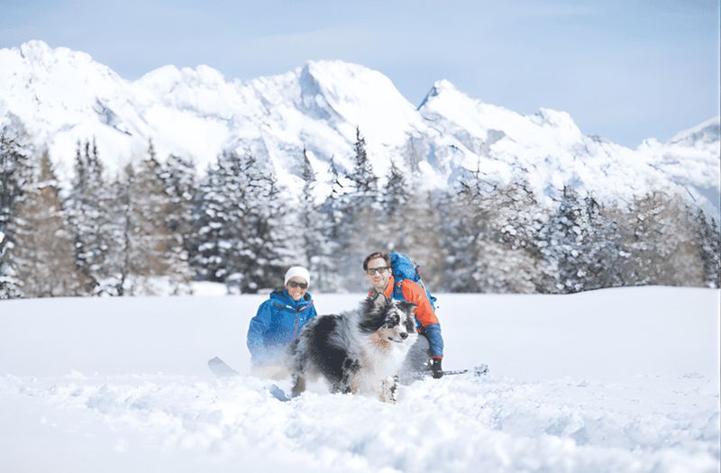 Billet Randonnée hivernale panoramique à Nordkette