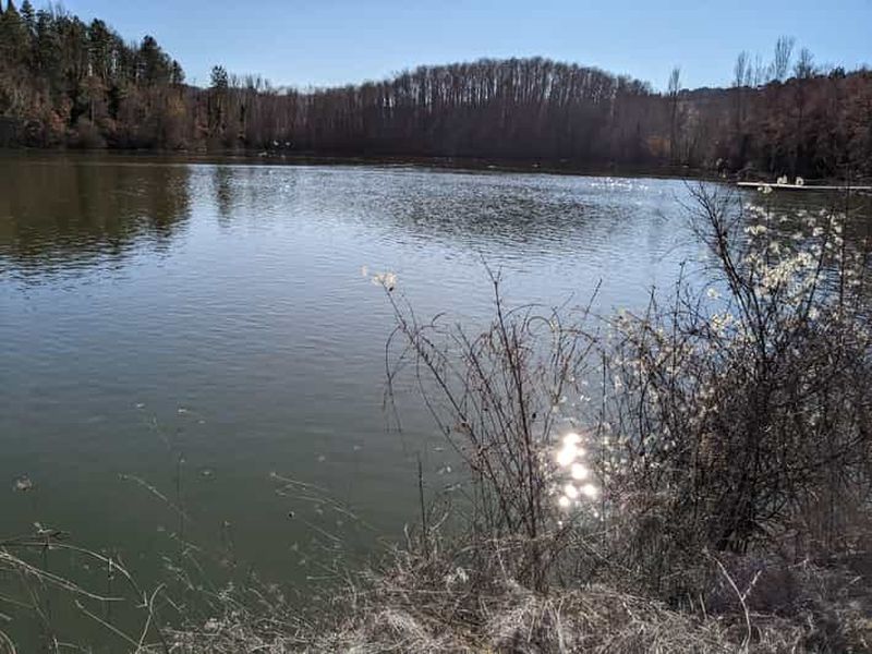 Billet Gubbio : visite en vélo électrique entre campagne et centre historique