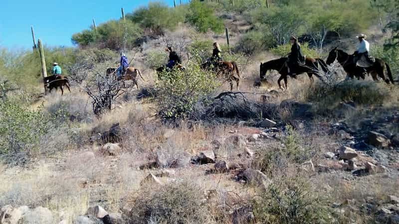 Billet Depuis Loreto : Randonnée à cheval dans le désert de Baja