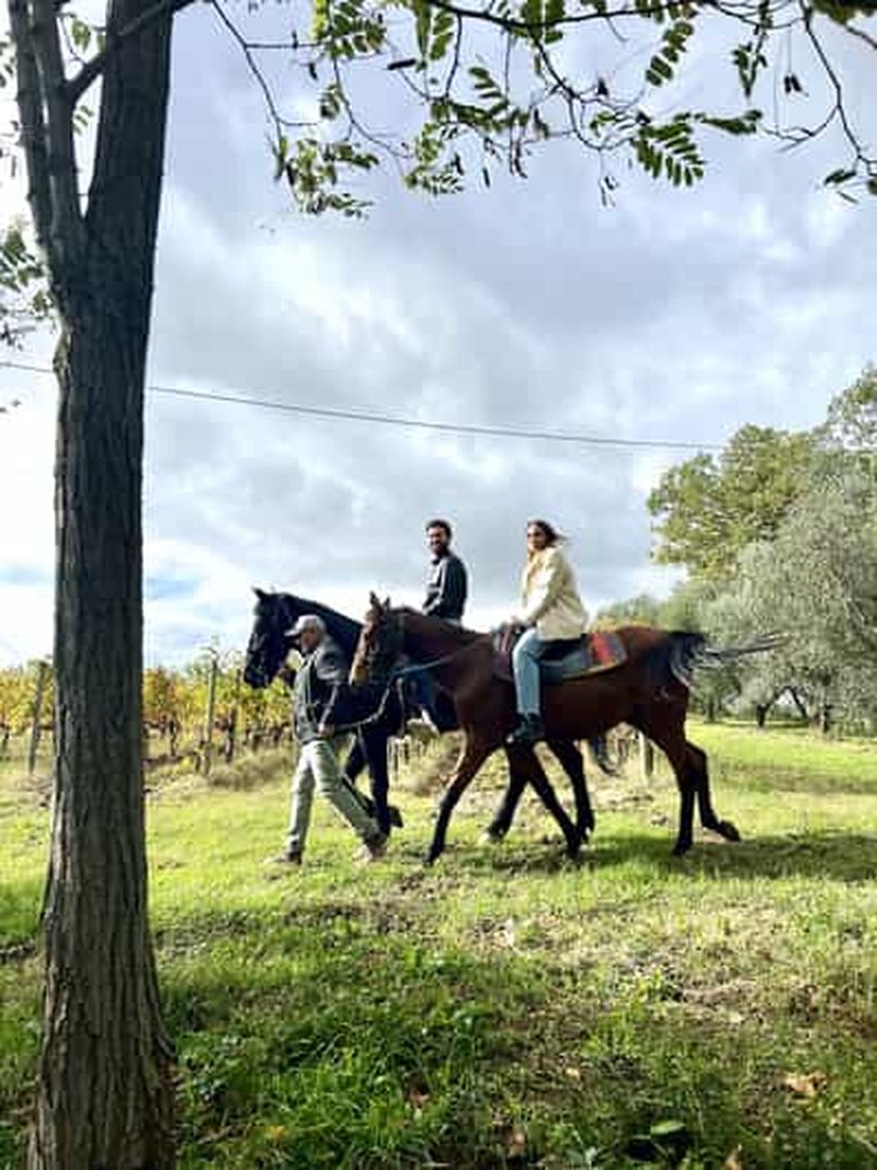 Billet Balade à cheval dans les vignobles de Montepulciano