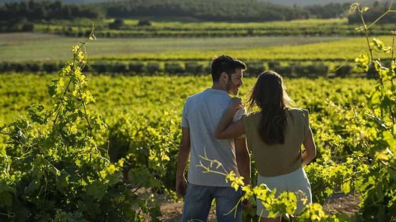Billet Valence : vignoble, vin local, dégustation de cava et en-cas