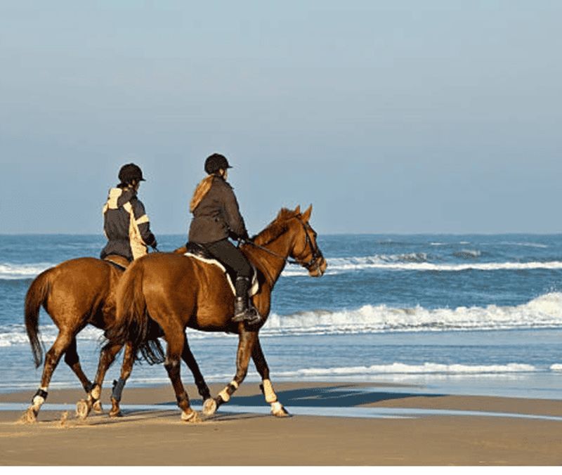 Billet Doha : promenade à cheval en bord de mer et dans le désert avec prise en charge