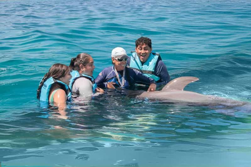 Billet Puerto Aventuras : rencontre avec les dauphins et interaction avec les lamantins