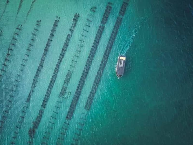 Billet Port Lincoln : Excursion d'une journée à Coffin Bay pour découvrir les fruits de mer, le vin et la nature
