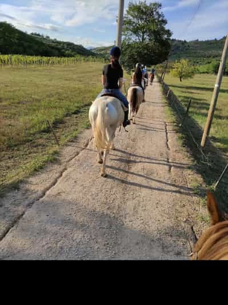 Billet Promenade à cheval avec dégustation d'Amarone à Vérone