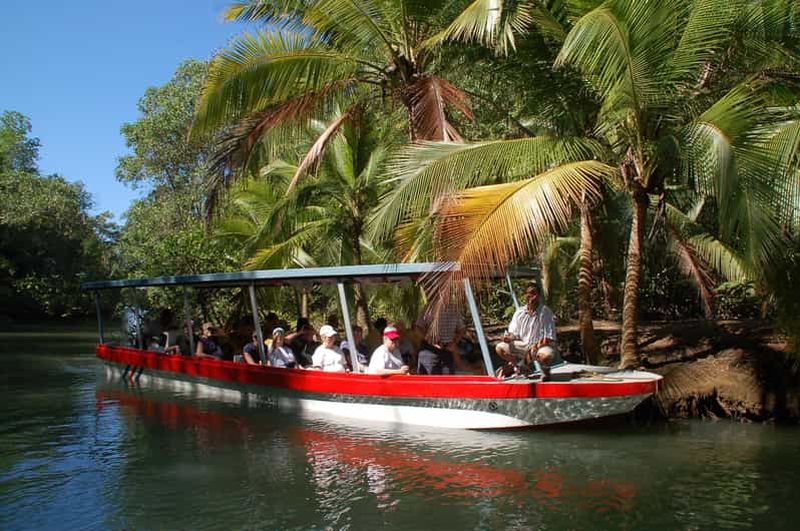 Billet Quepos : Tour en bateau de la mangrove de l'île de Damas