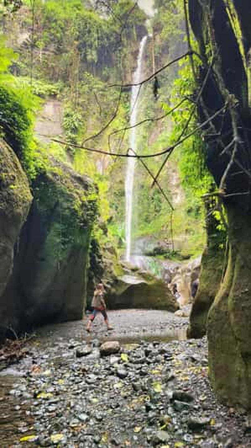 Billet Arusha : Randonnée guidée aux chutes d'eau de Napuru