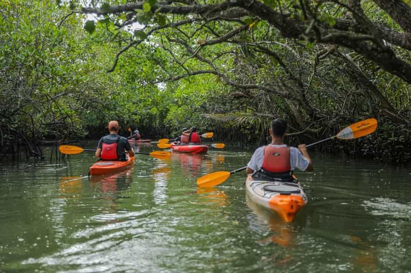 Billet Depuis la ville de Tagbilaran/l'île de Panglao : Kayak dans les mangroves de Bohol
